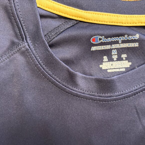 Pittsburgh Panthers Champion Moisture Wicking T Shirt - Size M - 1612 (MISC) - Picture 3 of 5